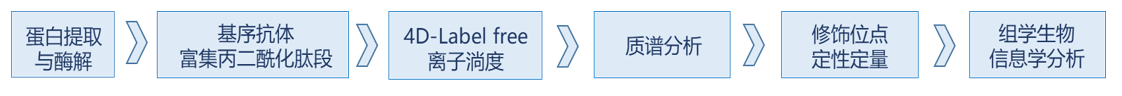 f86de0760acbabe88c741663140396a5_1616984948605721.png